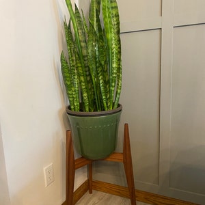 Peg added a photo of their purchase