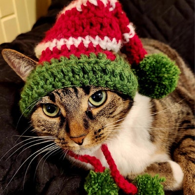 Elf Hat for Cats, Cat Elf Hat, Holiday Cat Hat, Christmas Hat for Cats ...