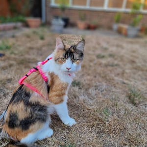 Rose's added a photo of their purchase