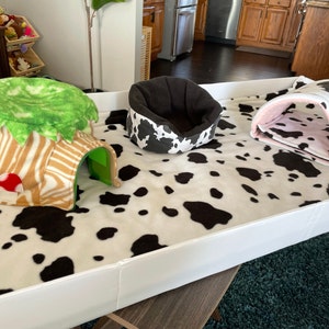 Piper hat ein Foto des gekauften Artikels hinzugefügt