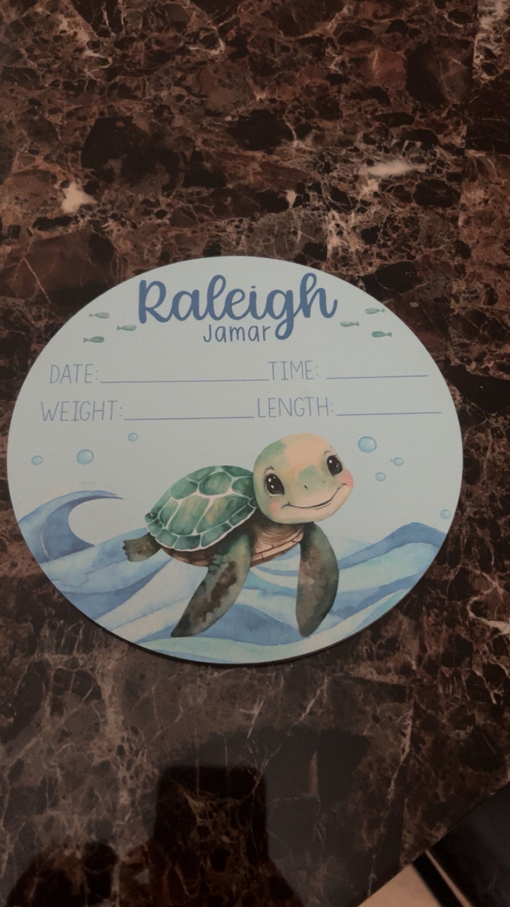 Turtle Birth Stat Sign, Ocean Birth Stat Sign, Round Wood Birth Stat Sign, Sea Turtle Sign, Personalized Birth Stat Sign, Newborn Gift O33