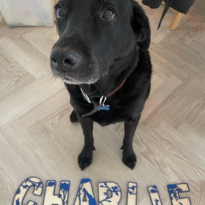 Faye added a photo of their purchase