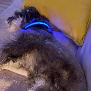 MEREDITH ha añadido una foto de su compra