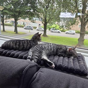 Marcel added a photo of their purchase