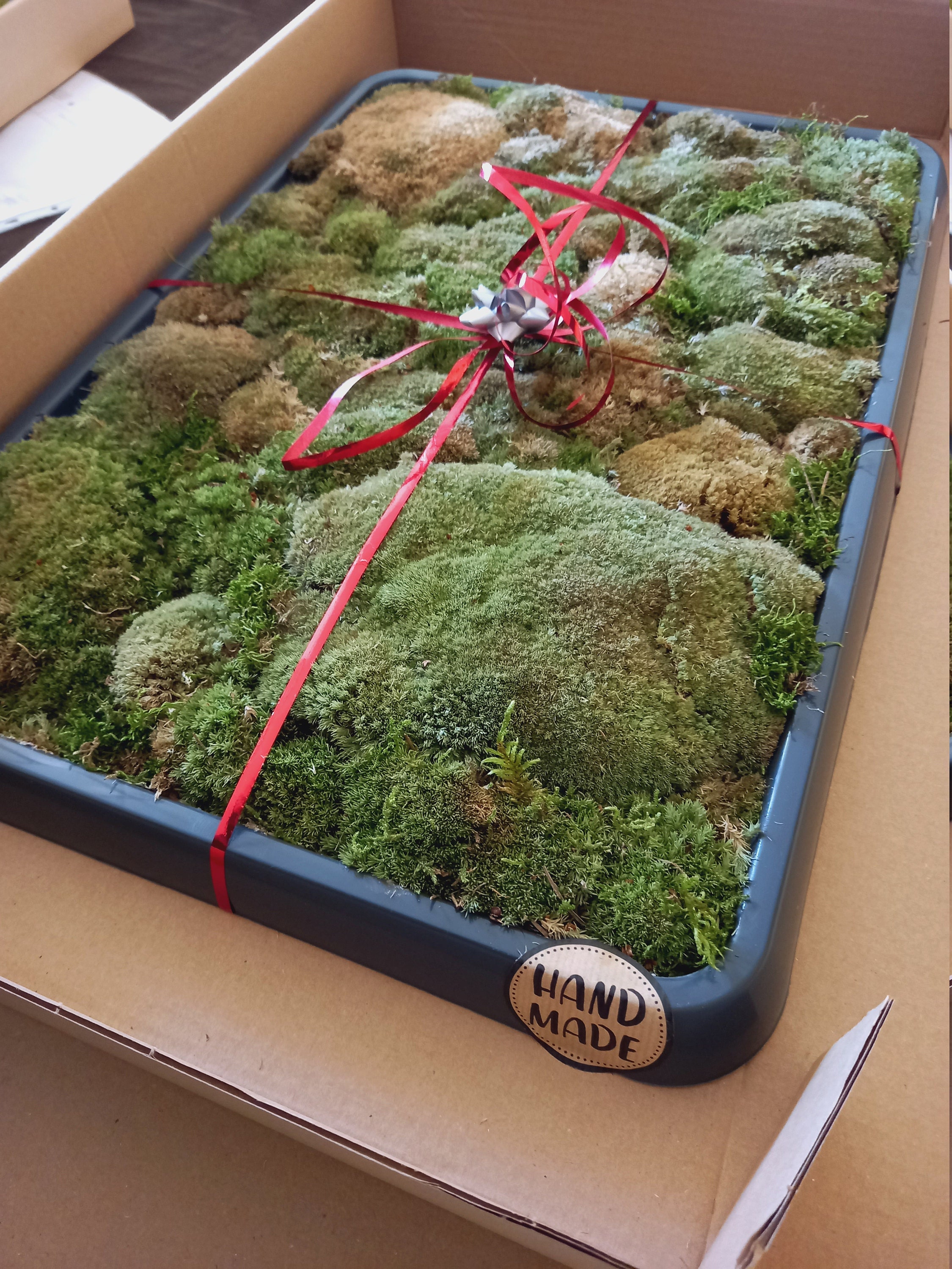 Luxury Live Pole Moss Bath Mat Modern Bath Mats Etsy