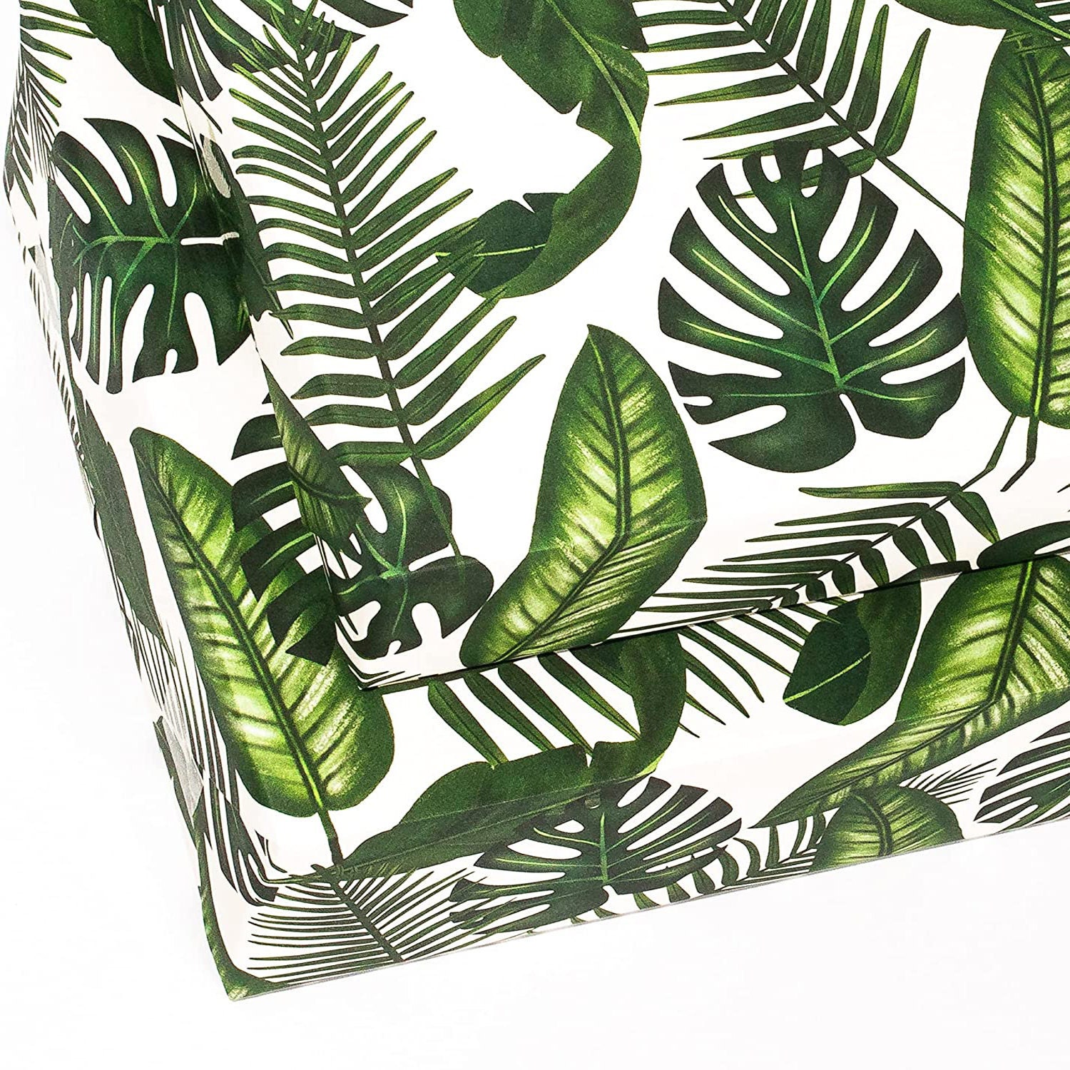 20 Pink Cotton Candy Ornamental Grass Seeds Ornamental Etsy UK