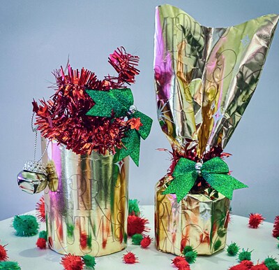 Earthlingz Ionantha Air Plant Kit - Living Plant With Character Pot & Sticker Accessories