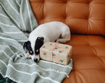 Image showcasing Waterproof Travel Dog Bed: Portable Pet Mat With Handle - Etsy