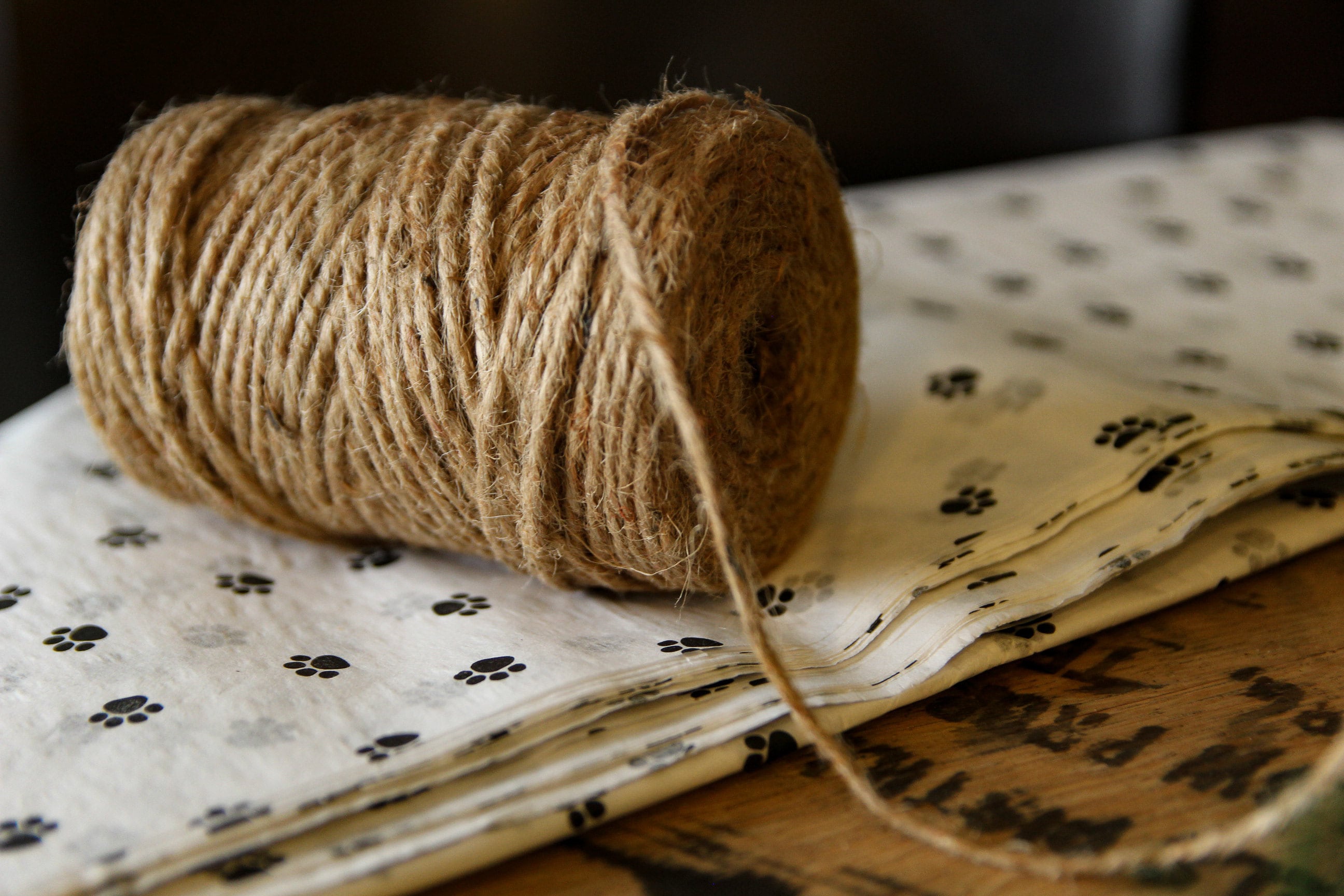 Dog's Best Friend Baby Infant Onesie Bodysuit Short Sleeve Etsy