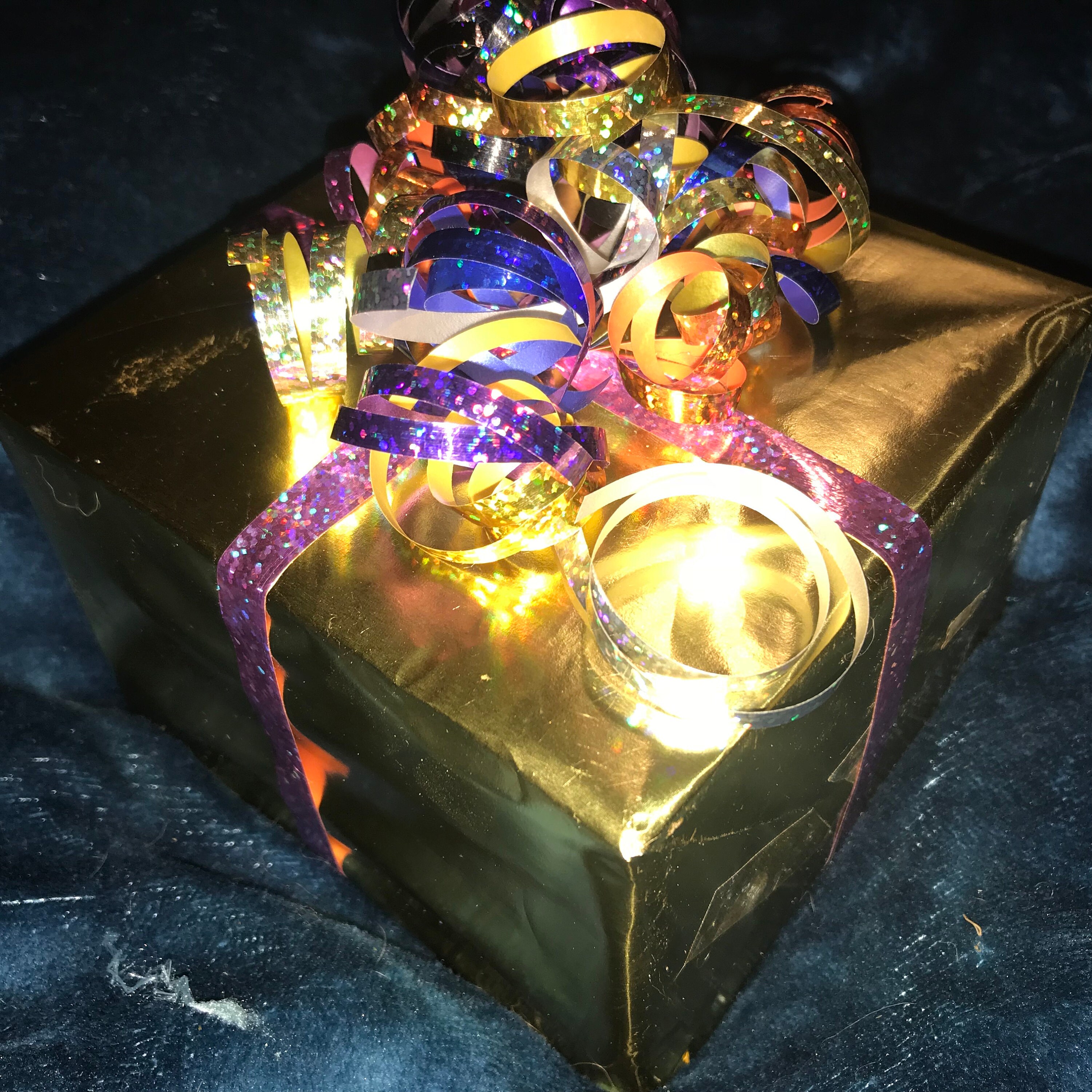 Chinchilla Home Emergency Kit