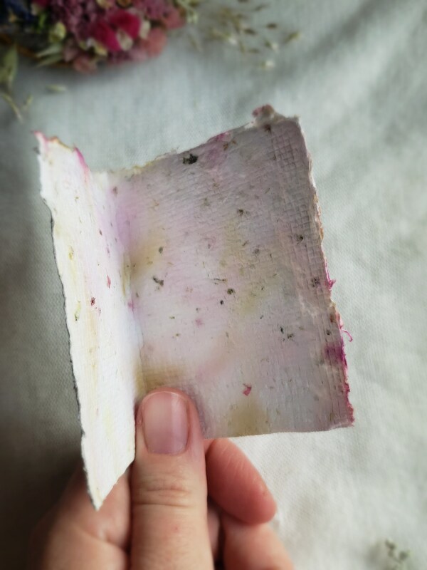 Dried Allium Flower Pods Purple Allium Large Vase Flowers Etsy