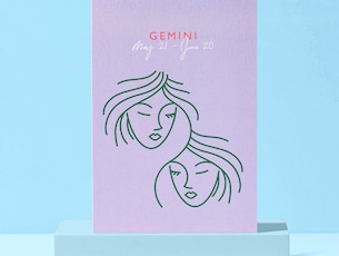 The Gemini