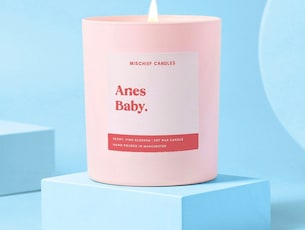 The Aries