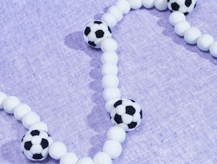 The Soccer Fan