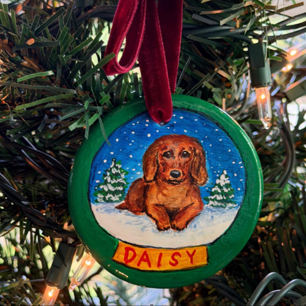 Hand painted ornament with pet portrait and name