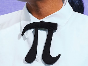 The Mathematician