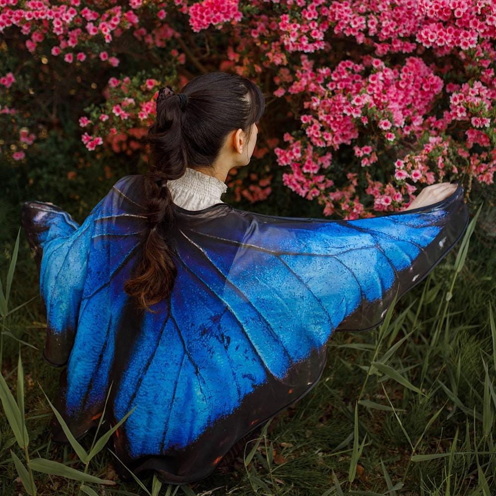 Blue Butterfly wings for adults