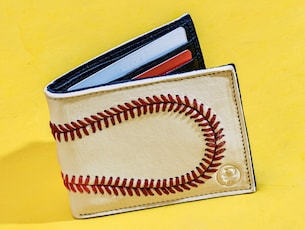 The Baseball Fan