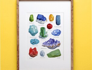 The Rock Collector
