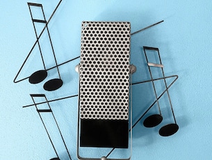 The Singer