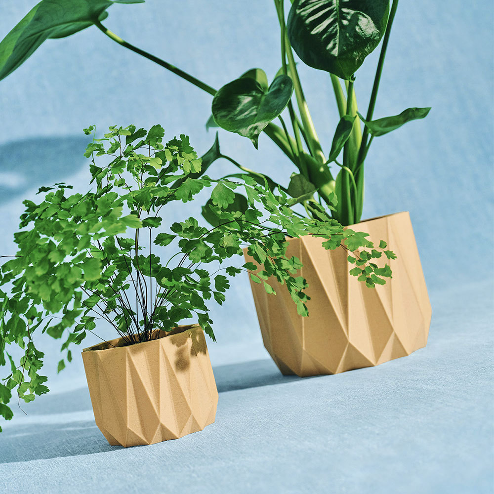 All the essentials for the green-thumbed caregiver