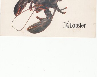 New York City/The Lobsster/Seafood Restaurant/Circa 1960/Postcard With Style