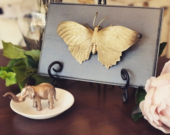 Butterfly Home Decor, Gold Faux Butterfly Taxidermy, Insect Plaque, Wall Art, Home Decor