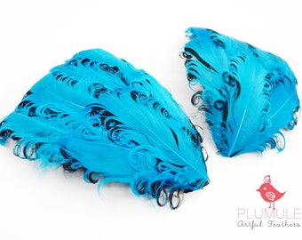1 pcs - CURLED NAGORIE goose feather pad, turquoise on black