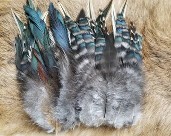Schlappen Feather Sampler - lot of 50