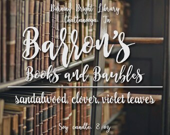 Barron's Books and Baubles - Fever Series By Karen Marie Moning Inspired