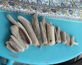 Unique Driftwood Nugget Sampler Unique 15 Nuggets , Surf Tumbled Drift Wood Craft Supply SAM15