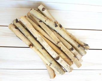 10 WHITE BIRCH LOGS,Wood sticks. Craft birch,Bundled logs,Birch Poles,Craft supplies,Birch Sticks,,Birch Wood Logs,Wedding birch decor