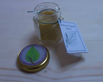 Balsam Poplar Salve - Balm of Gilead