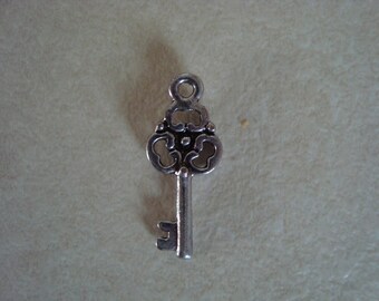 Silver coloured metal key charm
