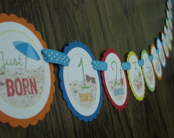 Beach Bum Collection: Just Born/0-12month Beach First Birthday Photo Picture Banner. First Year Banner. Sand Sun Ball Pail Shovel Summer