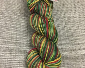 Cascade Heritage Hand Paints - color 9807