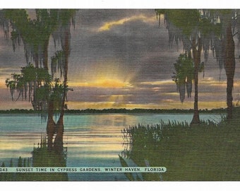 Vintage Florida Linen Postcard Cypress Gardens Sunset Time In Winter Haven UNUSED