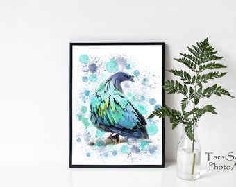 Nicobar Pigeon 11 x 14 Print