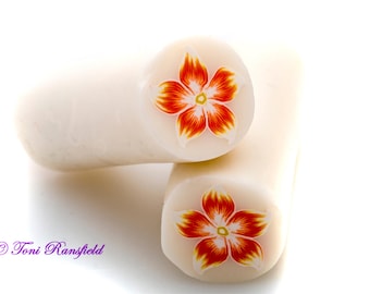 Orange and Yellow Star Flower Polymer Clay Cane, Raw polymer Clay Cane, Millefiori Polymer Clay