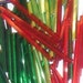 Bugle Beads- Christmas Combo