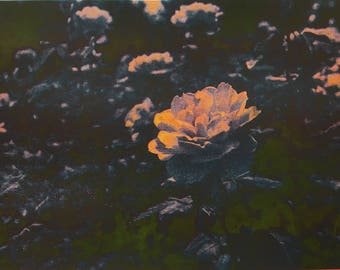 Rose Risograph Photo Print