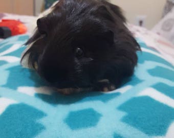 Guinea Pig High Rising Fluffy Bed