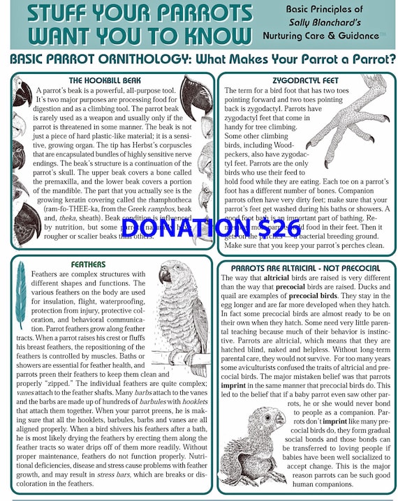 DONATION 26 dollars to help support my parrot educational resources. Newsletter, Facebook Group, Website Includes 6 pg .pdf