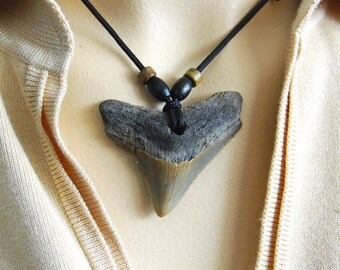 Fossil Carcharodon MEGALODON Shark tooth - PENDANT - WOWWWW !!