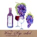 Digital Clipart, Wine Clip Art, Watercolor Vineyard