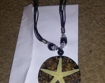 Starfish pendant on a multi-strand choker