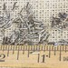 1/4” Nickel Brass Brad Nails, 100 pieces 18 gauge Escutcheon pins USA made! small head .25 inch ~100*126.1