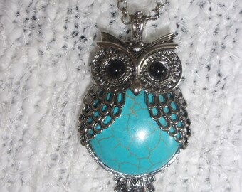 Silver and turquoise feathered owl