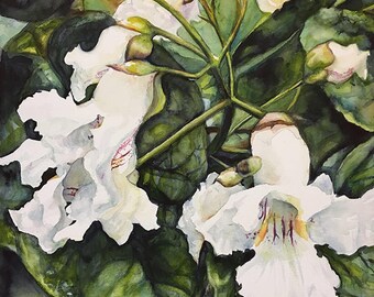 Catalpa Flowers Original Watercolor Painting - Realistic Floral Painting, Watercolor Flowers, Spring Flowers, Realistic Watercolor