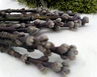 Wreath embellishments decor attachments twig decorative branches with buds spring deco mesh natural materials decorations making _ 2 sizes